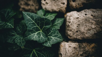 Exploring digital security symbols virtual environment graphic design futuristic viewpoint conceptual art