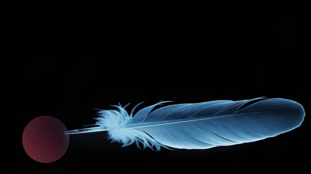 Falling feather landing on red circle