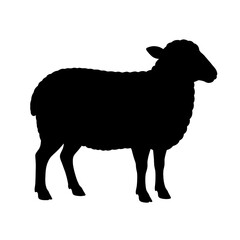 ‎Create a sheep silhouette vector style with white background