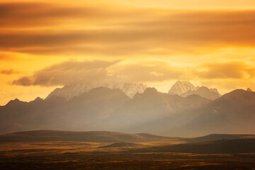 Dawn on the grassland