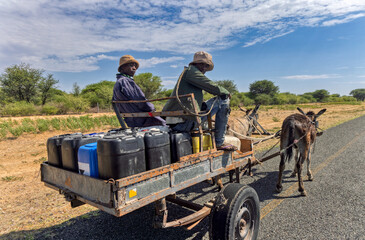 donkey cart on the road, africa water shortage, people carry water between villages with plastic containers
