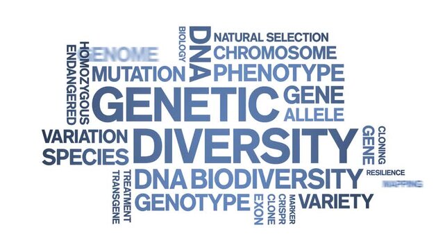 Genetic Diversity animated word cloud-text design animation tag kinetic typography seamless loop.