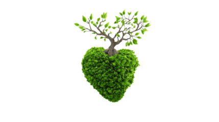 Tree is shaped like heart with green leaves on transparent background.