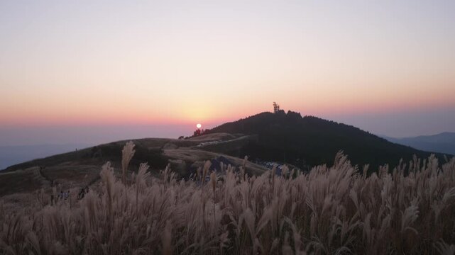 夕陽とススキ　和歌山県「生石高原」紀美野町・有田川町 Sunset and Japanese pampas grass, Wakayama, Japan
