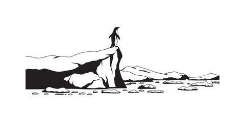 Penguin on iceberg black and white illustration antarctic wildlife arctic animal bird