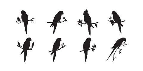 Vector silhouette of parrots on branches set illustration design template art
