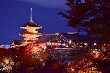 Obraz premium 秋の京都 清水寺ライトアップ
