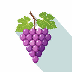 Illustration of a bunch of ripe purple grapes with leaves and a long shadow effect