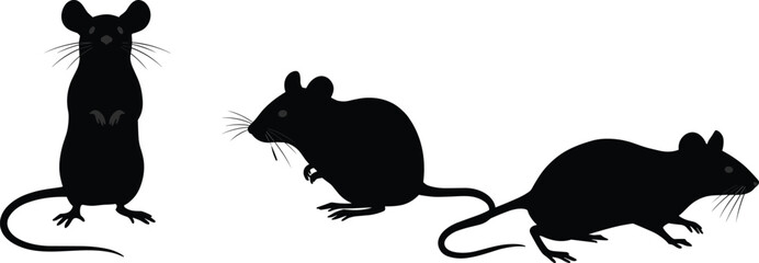 Set of three black mouse silhouettes in various poses: standing, sitting, and crawling, perfect for illustrating themes of rodents, pests, laboratory animals, and nature-related designs.