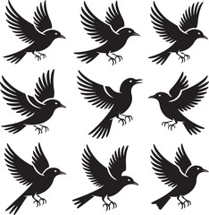 Cartoon Bird Clipart – Wild Bird Vector Illustration in Flat and Silhouette Style

