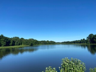 Obraz premium lake in the forest