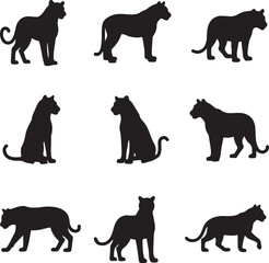 Tiger Vector Clipart – Hand-Drawn Jungle Animal Illustration in Flat Design