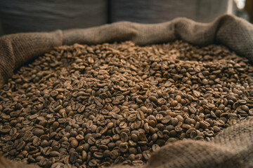 Obraz premium An overflowing burlap sack filled with freshly harvested coffee beans, showcasing richness and texture. Ideal for conveying themes of coffee production, agriculture, and organic ingredients.