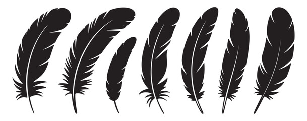 A graphic illustration showing a set of black feathers isolated on a white background in a row format