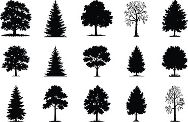 Fototapeta premium Diverse tree silhouettes in black and white trees deciduous trees