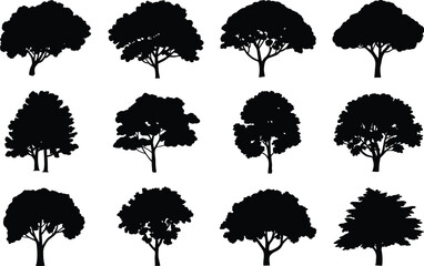 Diverse Tree Silhouettes Collection trees black
