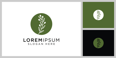 vector design of olives and leaves