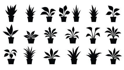 Diverse potted plants silhouettes houseplants foliage