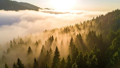 Sunrise over a misty mountain forest (1)