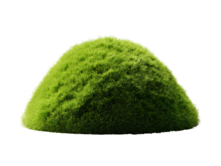  Natural Moss Clump with Rounded Top and Rich Green Fuzz, Perfect for Nature Decor, Transparent Background PNG  