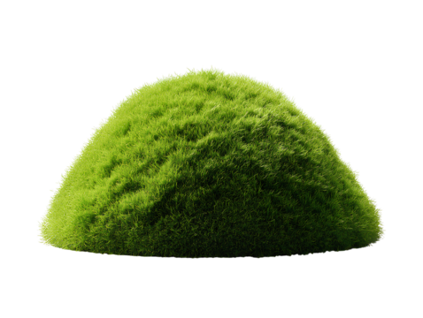  Natural Moss Clump with Rounded Top and Rich Green Fuzz, Perfect for Nature Decor, Transparent Background PNG  
