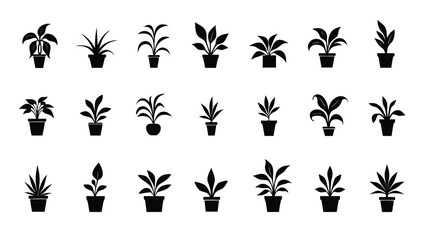 Potted plants foliage silhouettes houseplants green