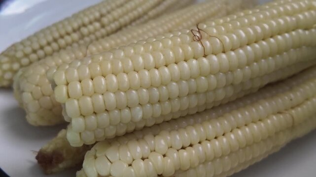 Boiled white corn, boiled white corn is on the plate. Freshly white boiled corn