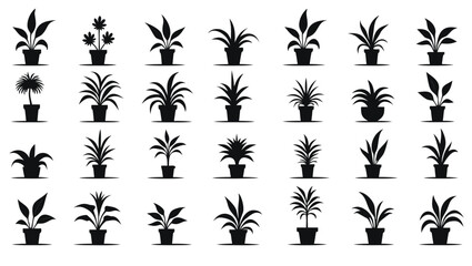 Potted plants various shapes and sizes houseplants foliage