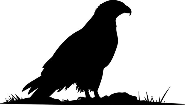 Majestic eagle silhouette perched on ground, prey nearby, simple black and white design