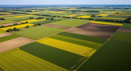 Obraz premium Aerial View of Vibrant Green and Yellow Agricultural Fields Under a Clear Blue Sky