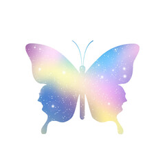 The Universe Wears Butterfly Wings