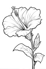 Fototapeta premium Detailed Lineart Hibiscus Blossom with Bud Botanical Illustration. Ai Generated Images