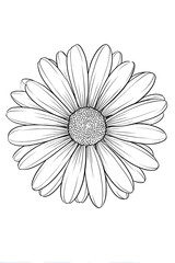 Detailed Line Art Beautiful Daisy Flower Blossom Floral Decorative Element. Ai Generated Images