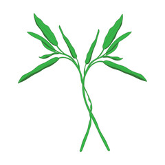 Elegant green plant sprigs with delicate leaves create a natural, organic design element.