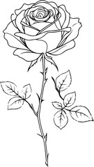 Minimalist single line art of a blooming rose flower, elegant and delicate black and white illustration, botanical outline, white background, vector line style 3