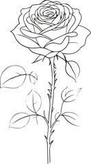Minimalist single line art of a blooming rose flower, elegant and delicate black and white illustration, botanical outline, white background, vector line style 4