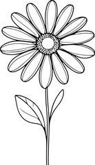 Simple line art drawing of daisy flower, black and white minimal floral design, clean background, vector outline style 3