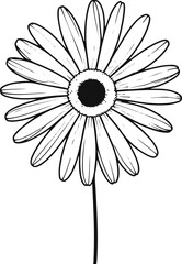 Simple line art drawing of daisy flower, black and white minimal floral design, clean background, vector outline style 6