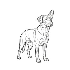 "Cute Dog Vector Illustration for Commercial Use"