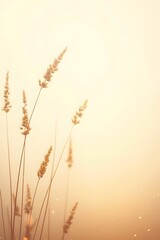 Obraz premium Golden wheat field at sunset, a rich summer crop ready for harvest, glows under the rural sky