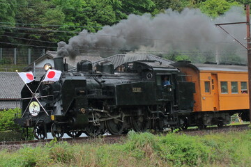 Obraz premium 令和元年に運転された大井川鉄道C11-227号機牽引のSL改元記念令和号_2019/5/1撮影