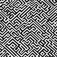Intricate Black and White Maze Pattern with Complex Geometric Design