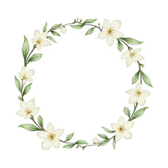 Fototapeta premium watercolor jasmine flower frame