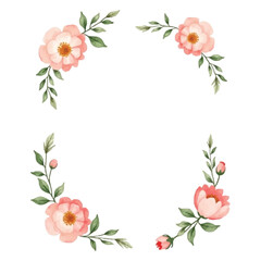 watercolor peony  frame