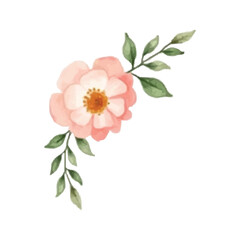 watercolor peony flower