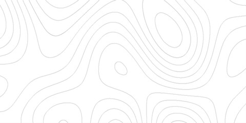 Abstract digital topographic contour map concept space geometric strip, light gray contour lines against a plain white background, topographic contour map subtle white vector textured.