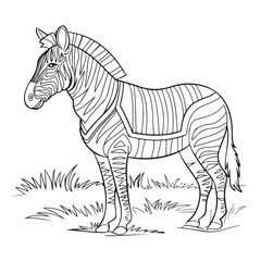 zebra vector illustration