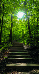 Fototapeta premium A serene forest path bathed in soft light, symbolizing spiritual journeys, divine guidance, and an enlightened lifestyle.
