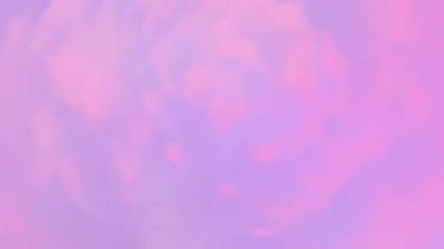 abstract multicolor background with soft gradients and smooth minimal looping motion.