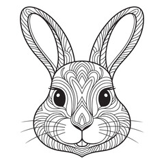 Fototapeta premium vector illustration of a rabbit